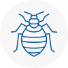 Bed Bug Extermination In Anerley